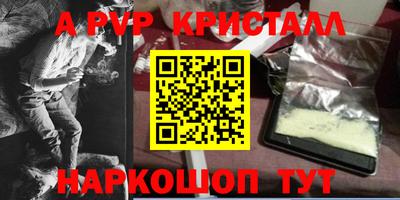 стафф Новокубанск