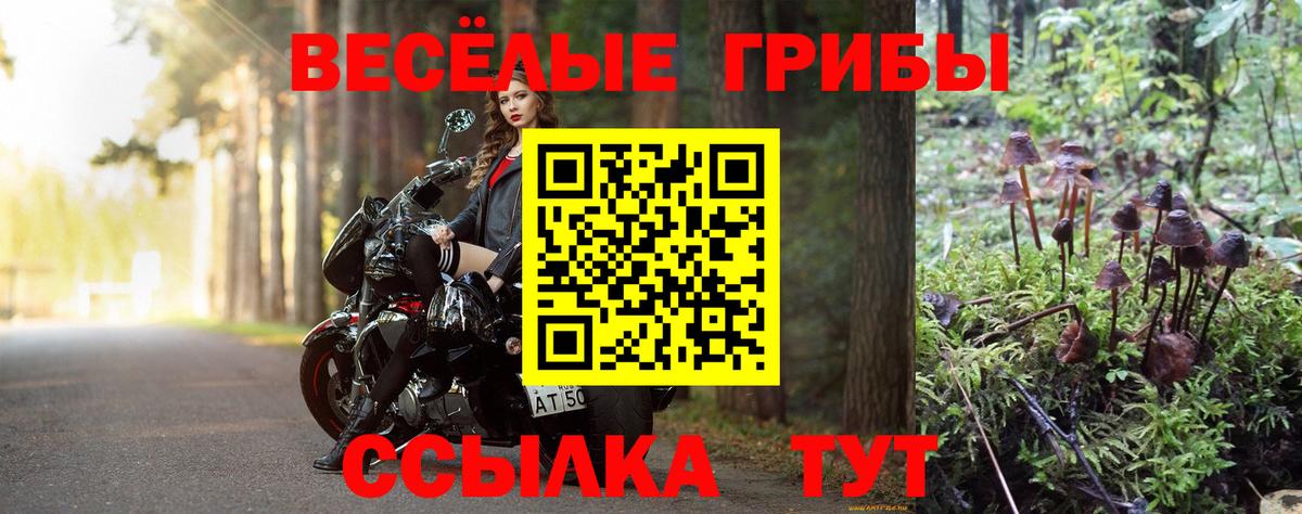 Находка  Псилоцибиновые грибы прущие грибы  Псилоцибиновые грибы Psilocybe  Вход с VPN 